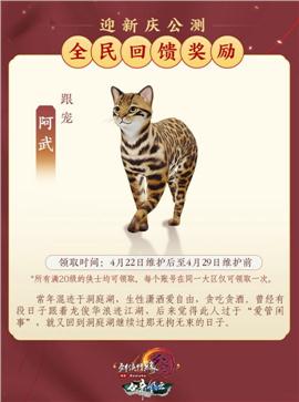 不分速天龙八部私服